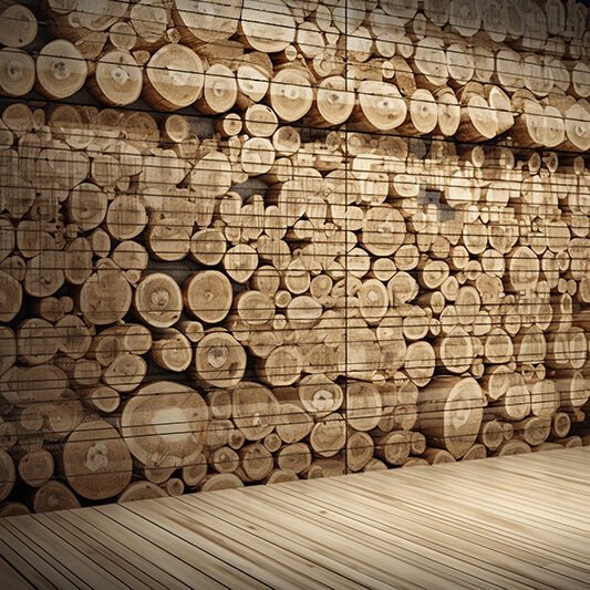 Circular Log Wall Decor: Elevate Your Space